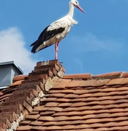 Hossies Hof - Luxus Alter Stall * ברטסדורף