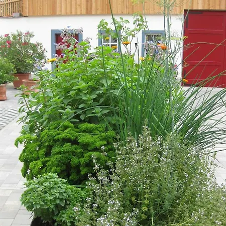 Hossies Hof - Luxus Alter Stall Apartment Bertsdorf